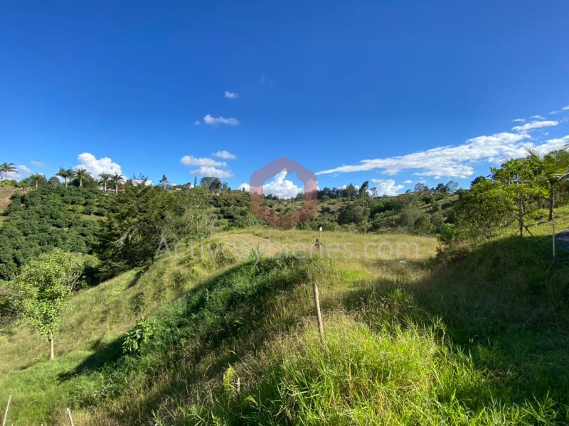 Terreno en Venta en Autopista