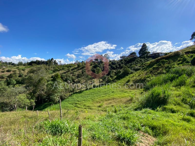 Terreno en Venta en Autopista