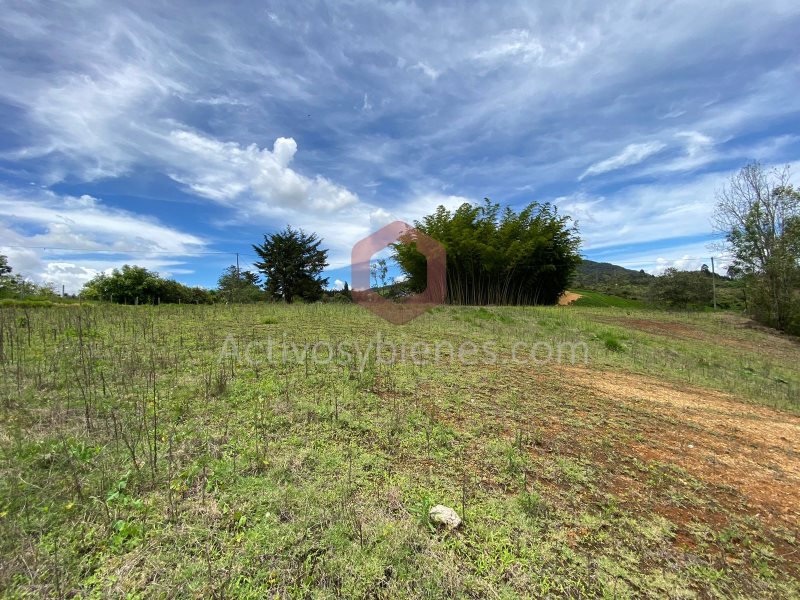 Terreno en Venta en Alto Del Chocho