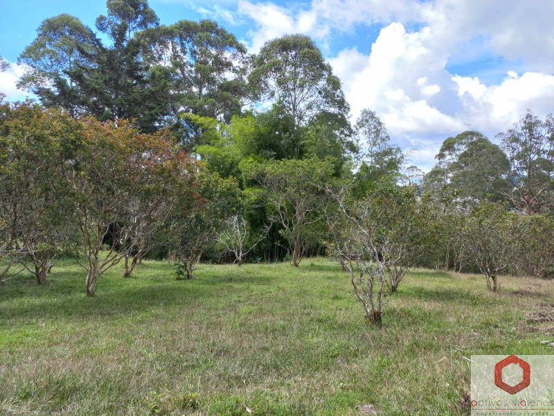 Terreno en Venta en Autopista