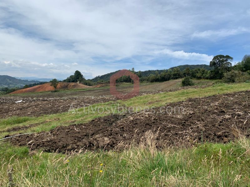 Terreno en Venta en Vereda El Chuscalito