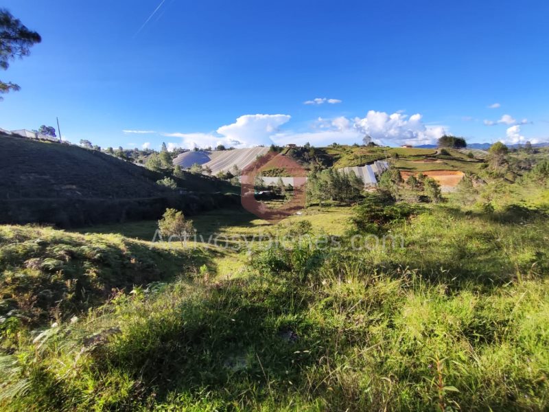 Terreno en Venta en Vereda Yolombal