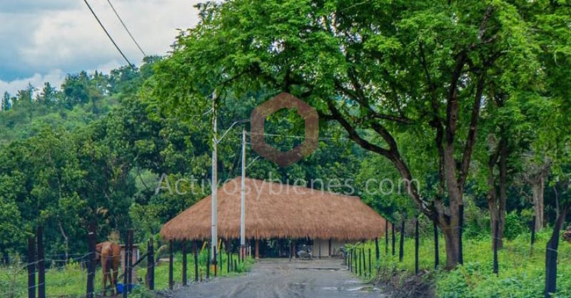 Terreno en Venta en Parque