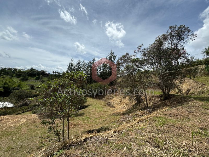 Terreno en Venta en San Antonio De Pereira