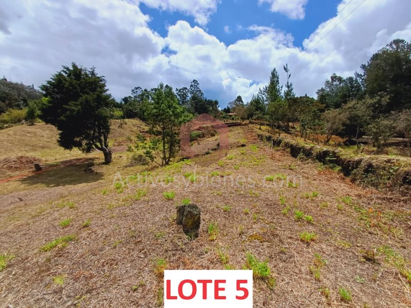 Lote en Venta en Vereda Piedras Blancas