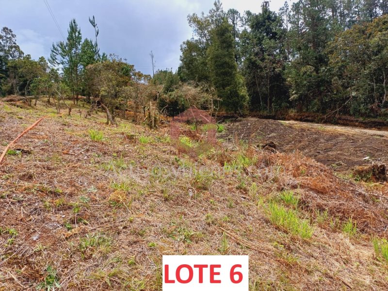 Lote en Venta en Vereda Piedras Blancas