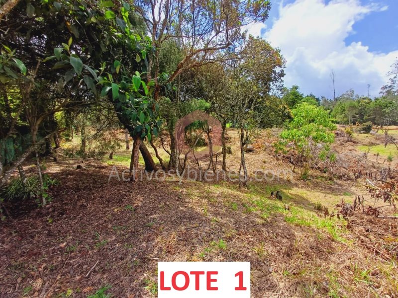 Lote en Venta en Vereda Piedras Blancas