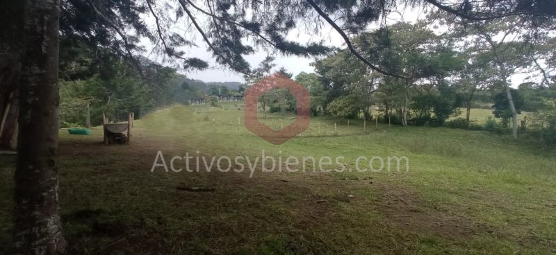 Terreno en Venta en Vía La Ceja